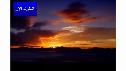 أقوى فتراس مرعب الضحية الحمار الوحشي-- - يستحق المشاهدة !! -