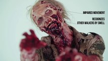 100 Years of Zombie Evolution AMaZing