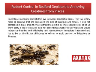 Rodent Control in Bedford Deplete the Annoying Creatures from Places