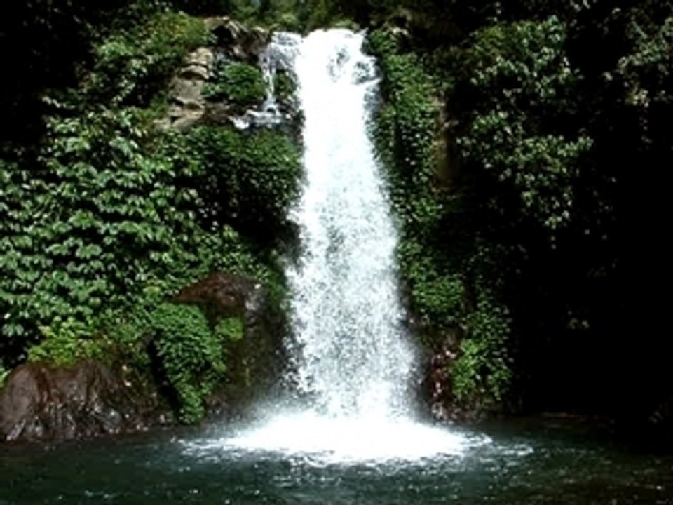 Indonesie - Bali - Gitgit - Chutes d'eau