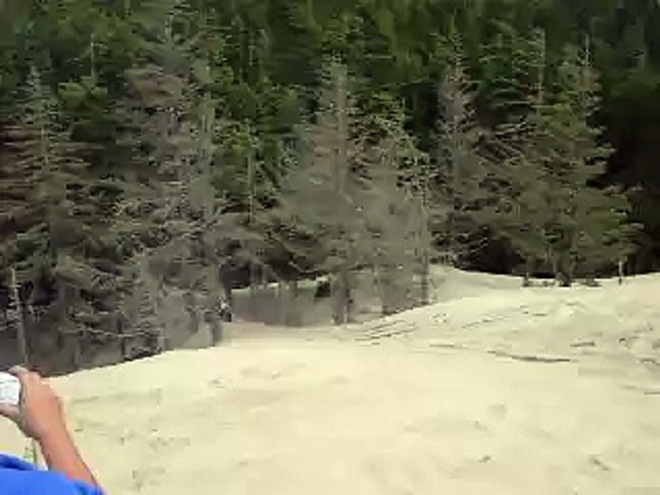 sand lake tree shot