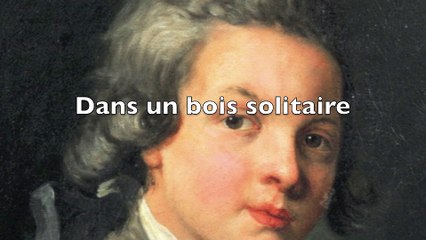 Dans un bois solitaire - Mozart