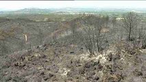 Controlado el incendio de Carcaixent tras arrasar 2.200 hectáreas
