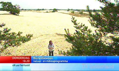 Nieuws (29-07-2008)