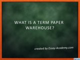 What is a Term Paper Warehouse