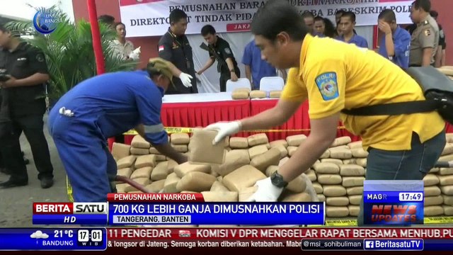 Bareskrim Polri Musnahkan 700 Kg Ganja Kering