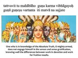 Bhagavad Gita Chapter 3 - Verse 28