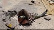 Russian, Syrian forces accused of using cluster bombs