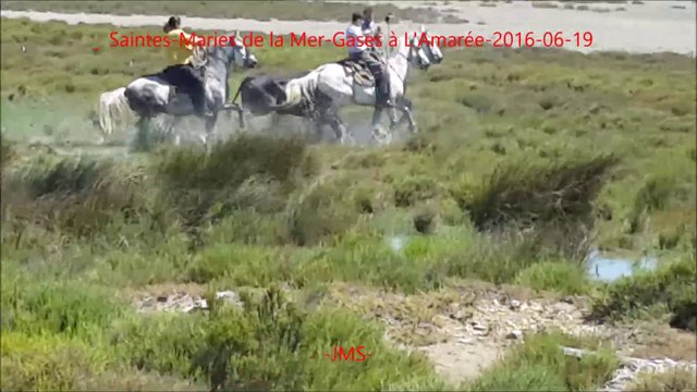 Saintes-Maries de la Mer-Gases à L'Amarée-fete votive-2016-06-19-gaso