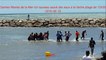 Saintes-Maries de la Mer-Un taureau sauvé des eaux-Vache plage-fete votive-2016/06/19