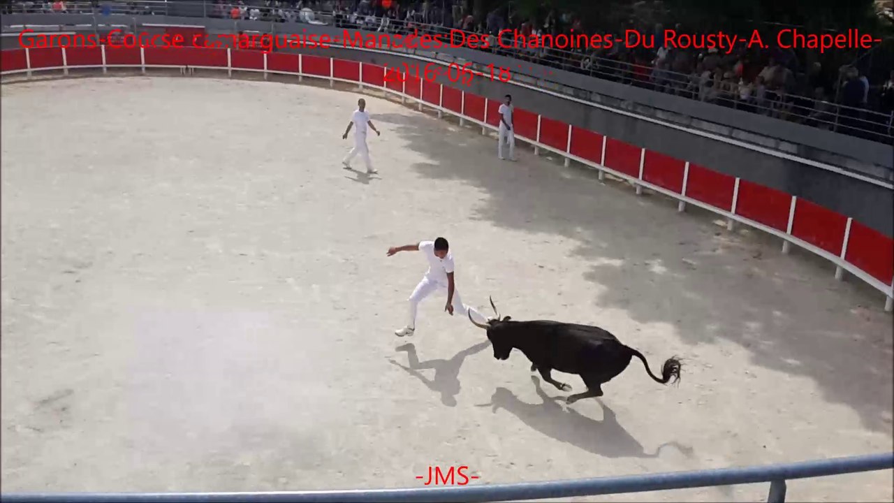 Garons-Course camarguaise-Manades-Des Chanoines-Du Rousty-A.Chapelle-fete votive-2016-06-18