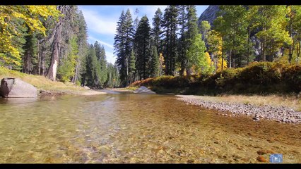 AMAZING  Nature Scene_ Autumn Mountain Stream