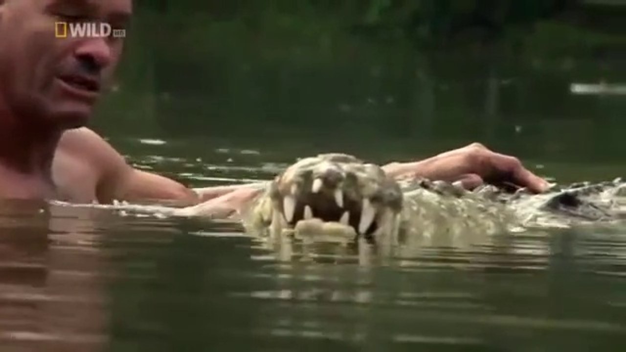 Man Who Swims with Crocodiles