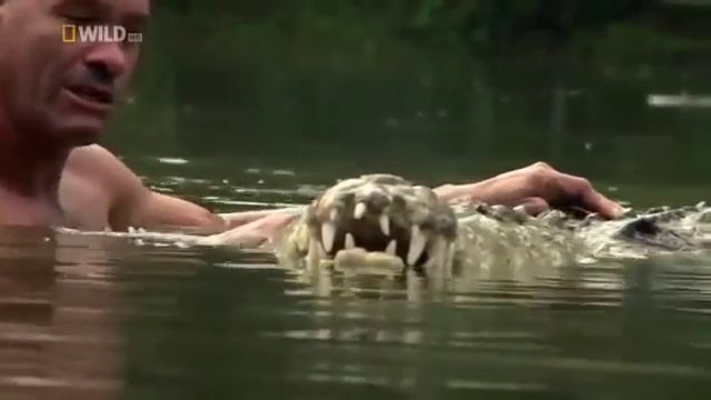 Man Who Swims with Crocodiles