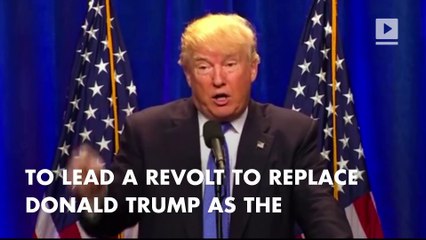 Paul Ryan: ‘It’s not my job to tell delegates what to do’