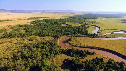 African Cats: Official Trailer