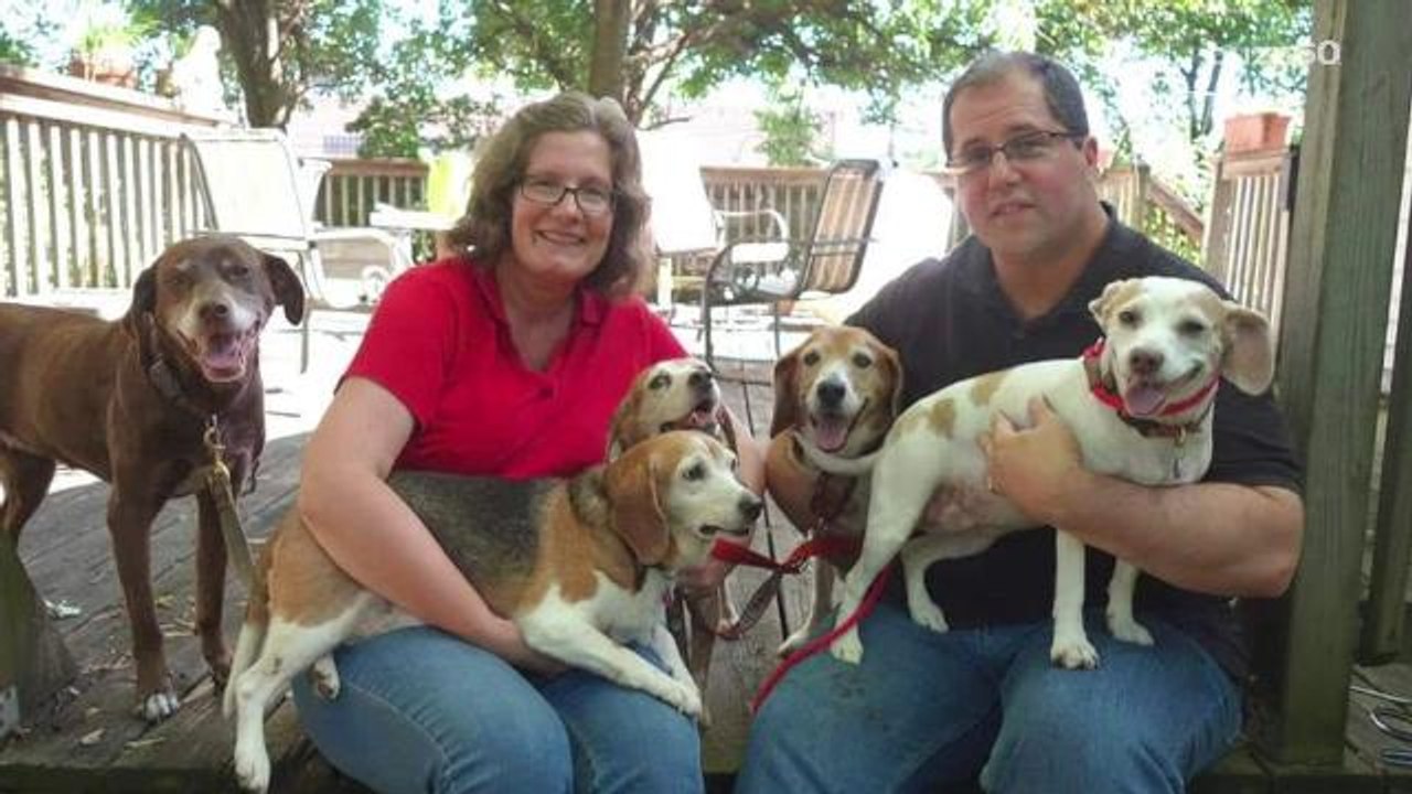 Fat Dog Named 'Kale Chips' Loses Weight, Gains...