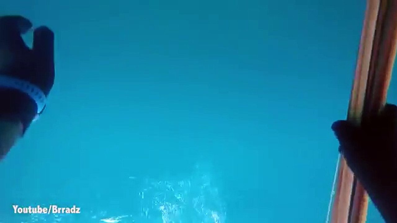 Un requin attaque un plongeur en pleine mer