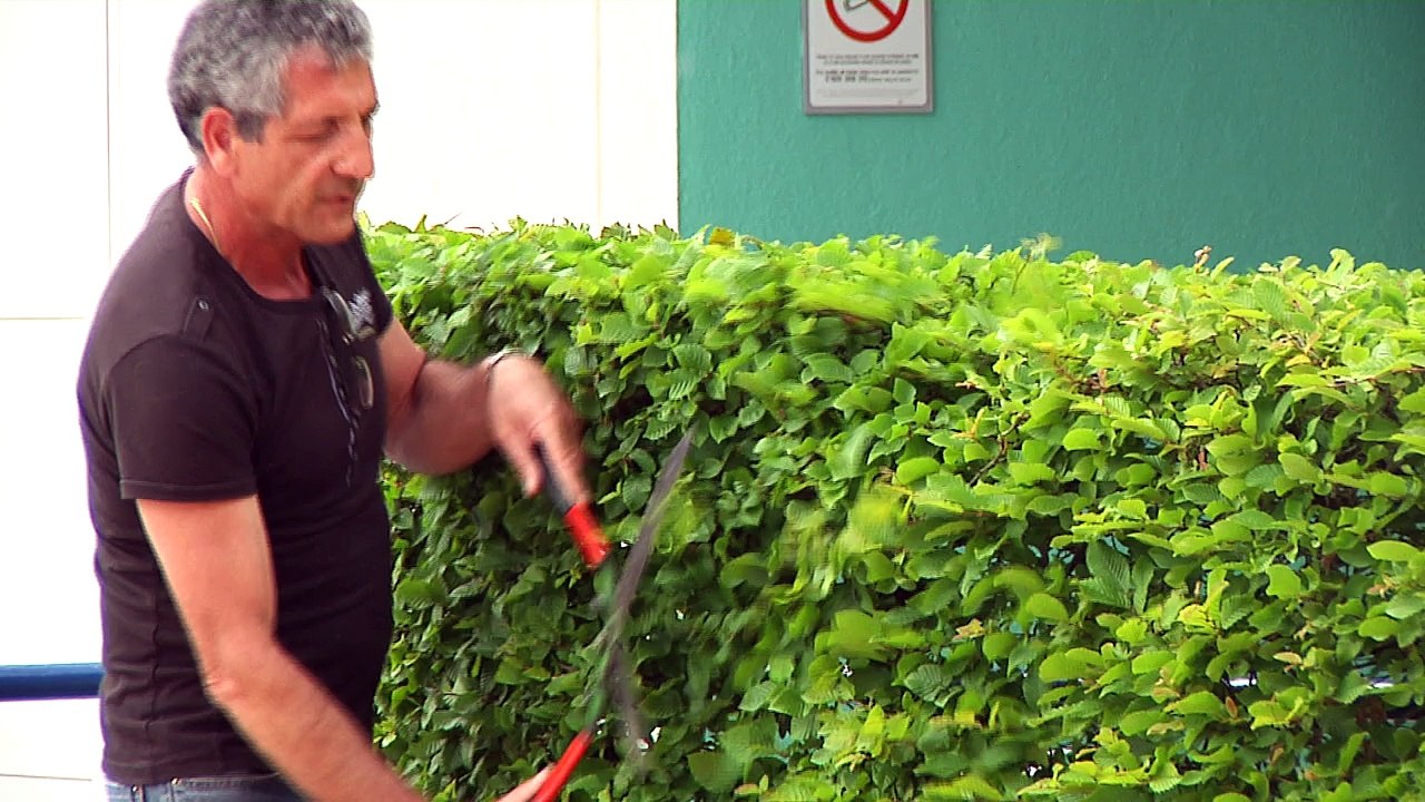 C'est pas mal chez vous - Eybens