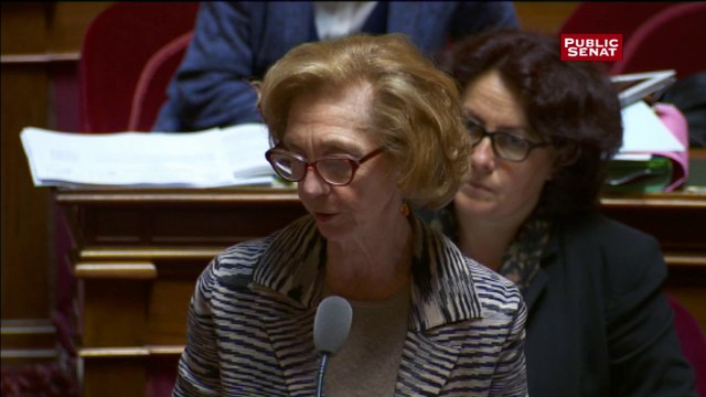 Loi Travail : Nicole Bricq ne désespère pas que la philosophie du texte « rentre dans la tête » des sénateurs de droite