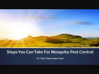 Steps You Can Take For Mosquito Pest Control