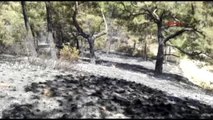 Manavgat'ta Orman Yangını -2