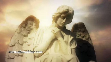 Angel 0102 HD, 4K Stock Footage