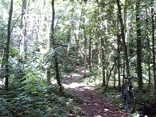 VTT rhone alpes