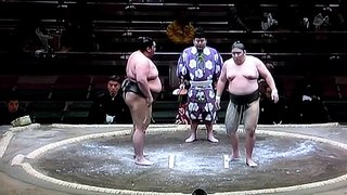 平成28年初場所2番　VS靏林