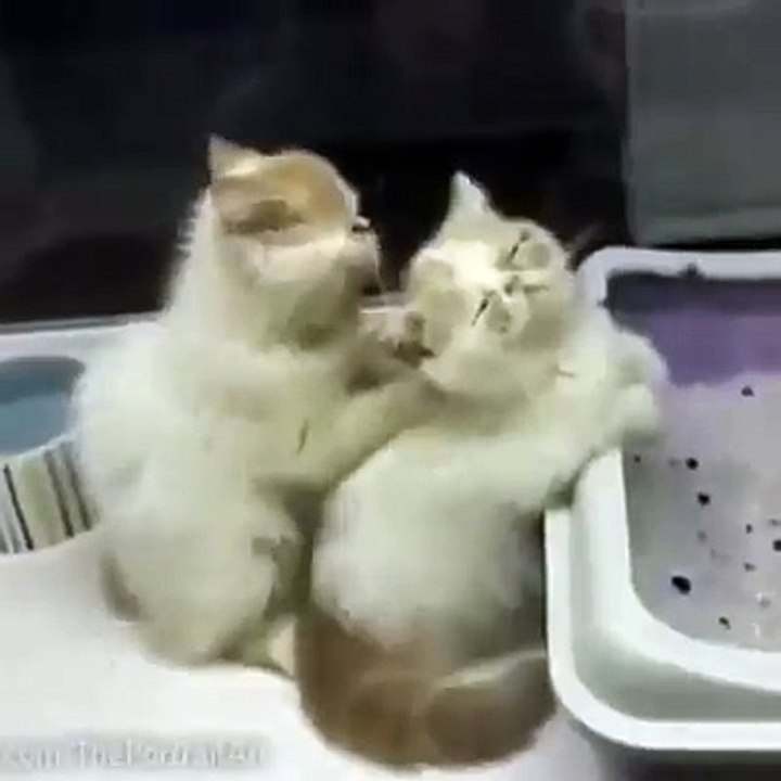 BILLI MASAG