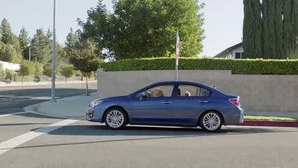 Must watch cute Dog ad . Labrador my favorite breed.