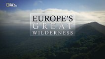 Дикие земли Европы 3 серия. Живые воды Европы (2015) Nat Geo Wild