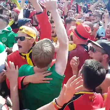 Belgian & Irish Fans Celebrate Together - Euro 2016