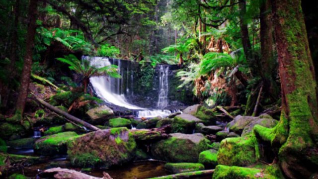 Nu-Jazz Joshua green Roll out HD720 m2 Basscover2 Bob Roha