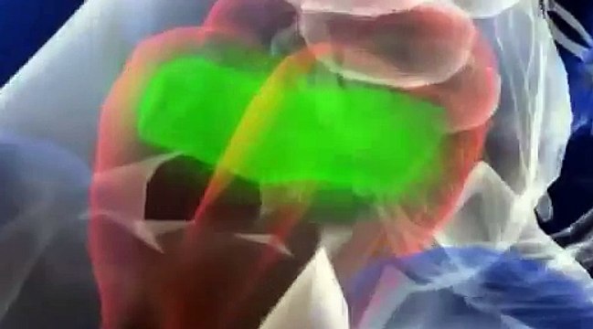 Stres, Bir Katilin Portresi Belgeseli - National Geographic