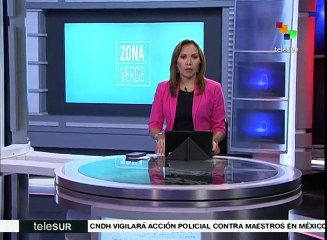 Costa Rica: investigadores rechazan reglamento sobre plaguicidas