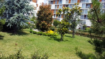 İstanbul Pendik Pegasus a Yakın Dumankaya Konsept Kurtköy Kiralık 2+1 Daire.. 1350 TL