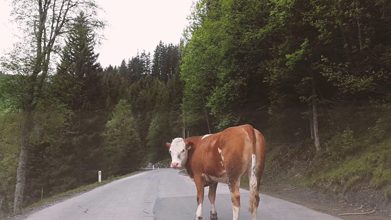 Zwei Hochzeitsfotografen auf dem Weg ins Zillertal!
