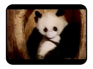 LE ZAPPING DU WEB - WEEK END 13 / 14/ 15 JUILLET 2007