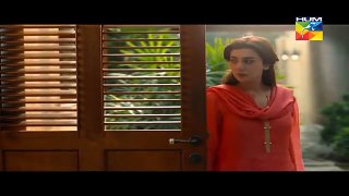 Mann Mayal Episode 22 Full in HD 20th June 2016