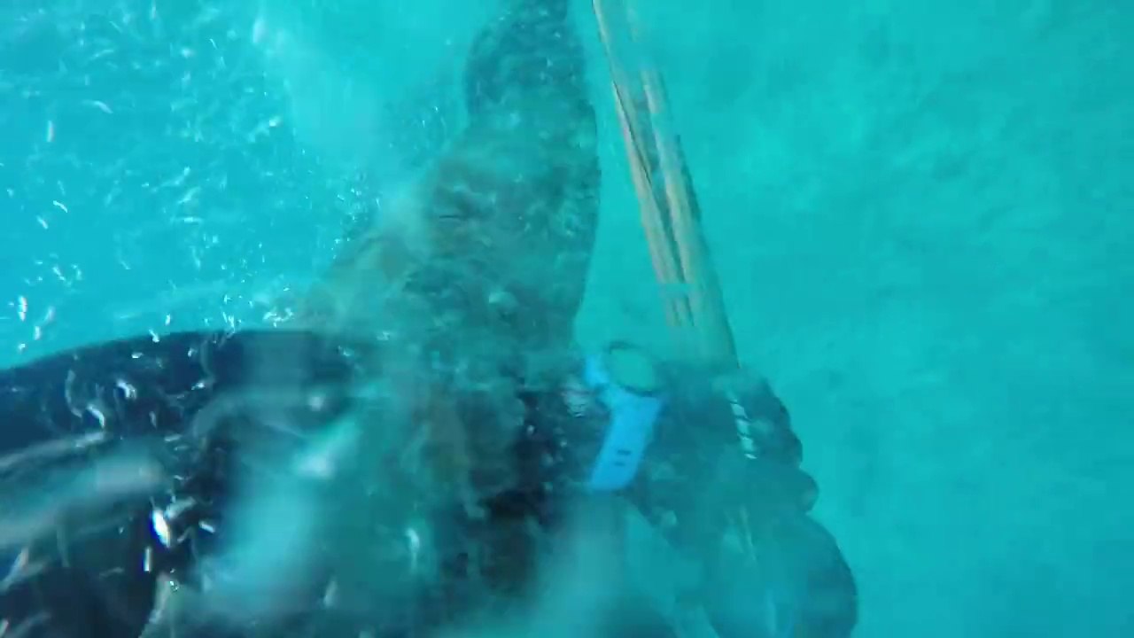 Un pêcheur se fait attaquer par un Requin !