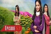 Haya Ke Daman Mein Episode 57 Hum TV Drama 17 June 2016