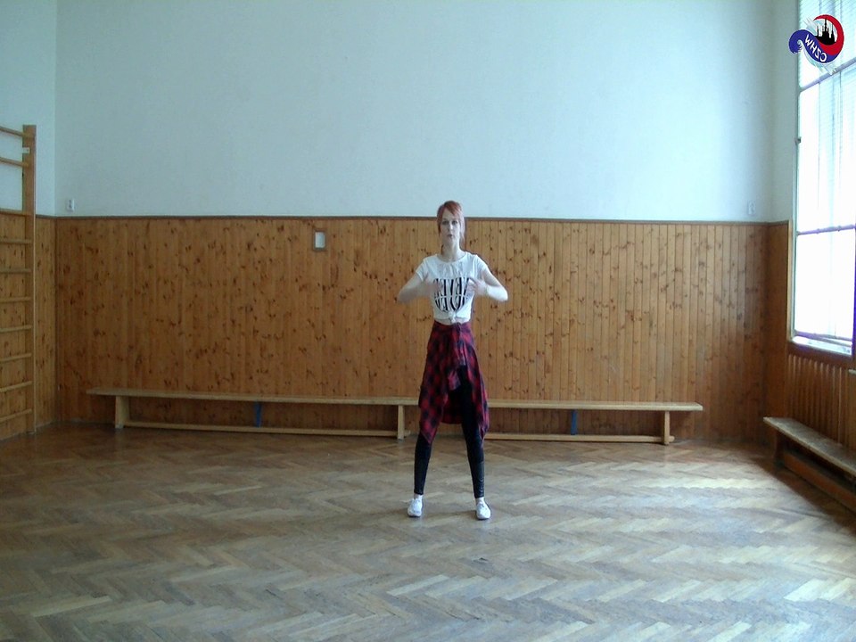 CZHW Flashmob 2016 EXO - Call me baby - Mirrores