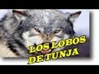 TUNJA, LOS VERDADEROS MALOS AL FIN SALEN A LA LUZ nuevo