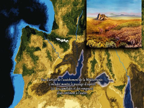 PALÉOWORLD 5 - LES MAMMIFERES ET LE CENOZOIQUE FT. STOP SCIENCE