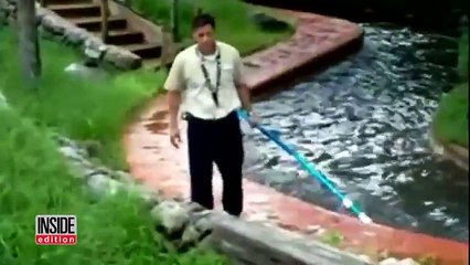Shocking Video Shows Disney Employee Fighting Alligator Near Splash Mountain -