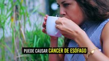¡Cuidado! Tomar bebidas muy calientes puede dar cáncer