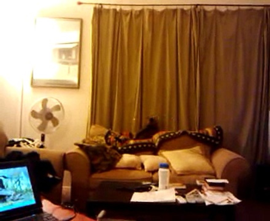 video-2009-10-29-19-31-36