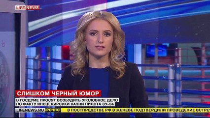 В Госдуме просят возбудить уголовное дело по факту инсценировки казни пилота СУ-24