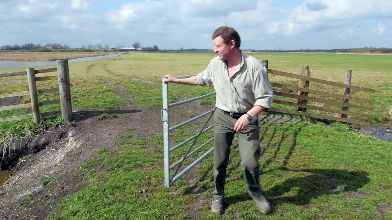 Britische Bauern fürchten Ende der EU-Hilfen